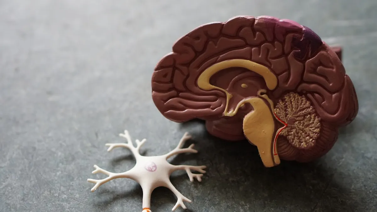 The brain's sleep-wake transition is where hypnic jerks originate